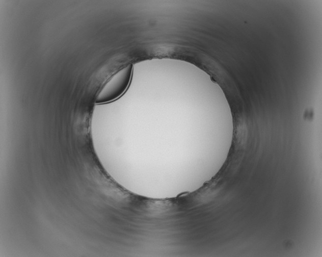 X0000112740525200909101518