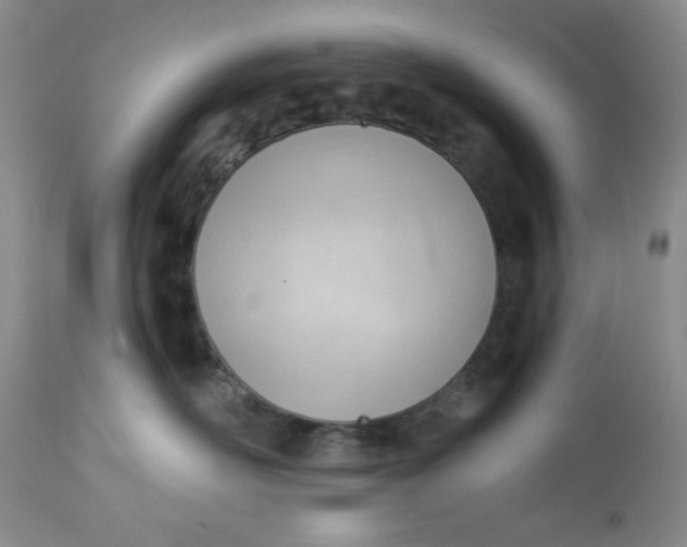 X0000112740526200909101518