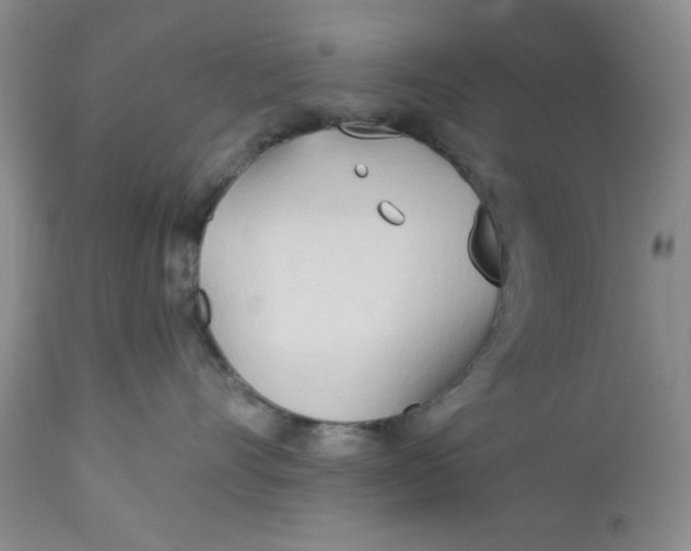 X0000112740528200909101518