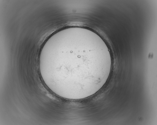 X0000112740529200909101518