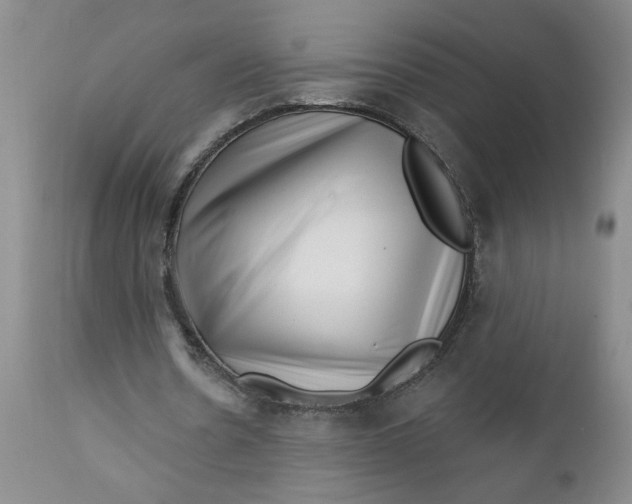 X0000112740530200909101518