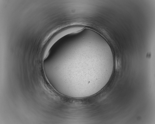 X0000112740531200909101518