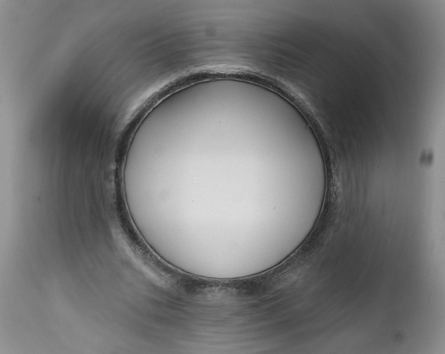 X0000112740535200909101518