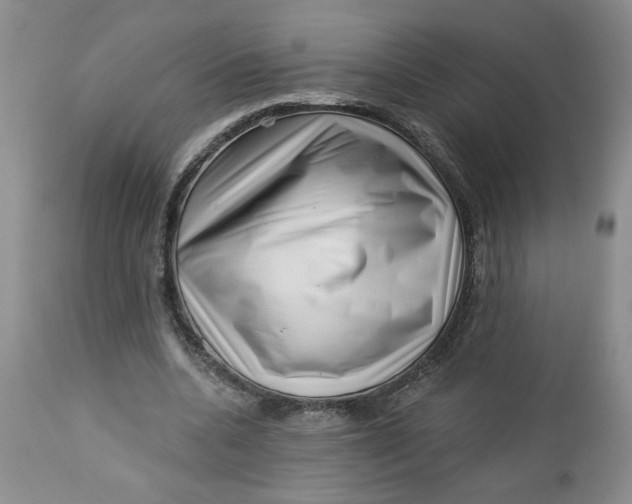 X0000112740536200909101518