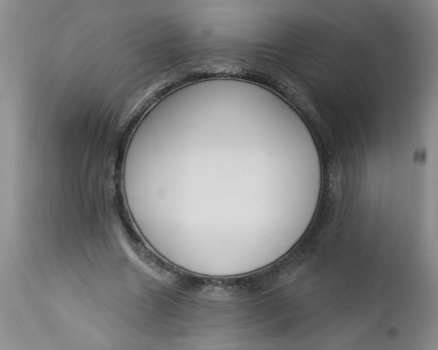 X0000112740538200909101518