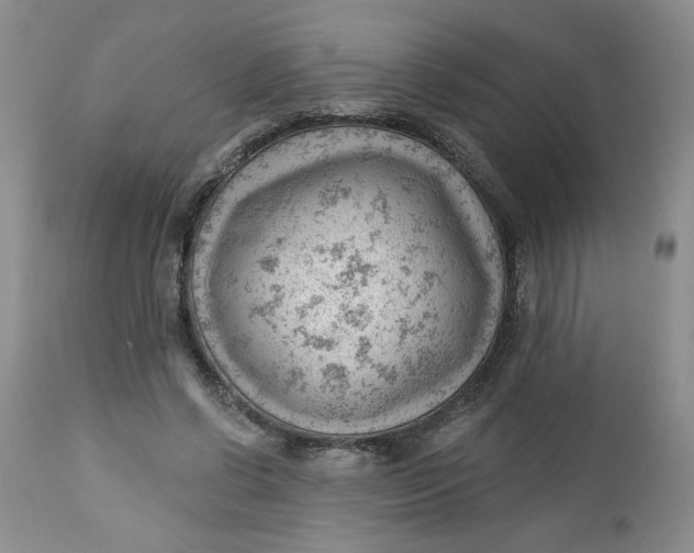 X0000112740542200909101518