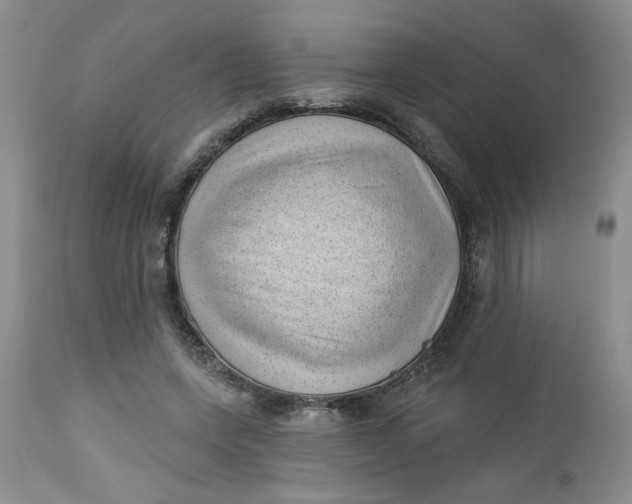 X0000112740543200909101518