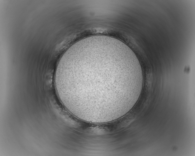 X0000112740545200909101518