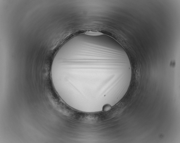 X0000112740546200909101518