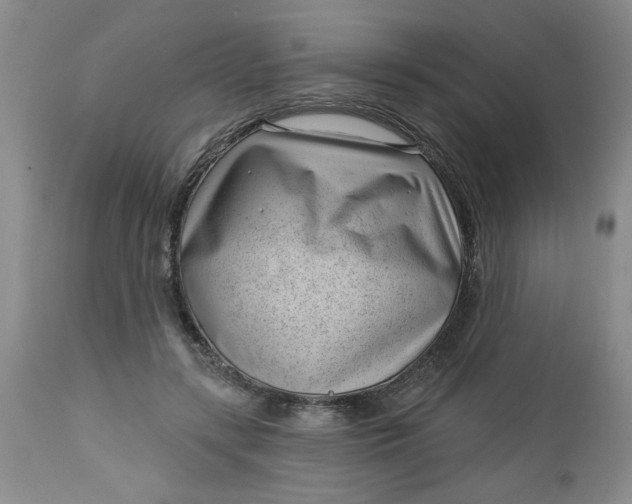 X0000112740547200909101518