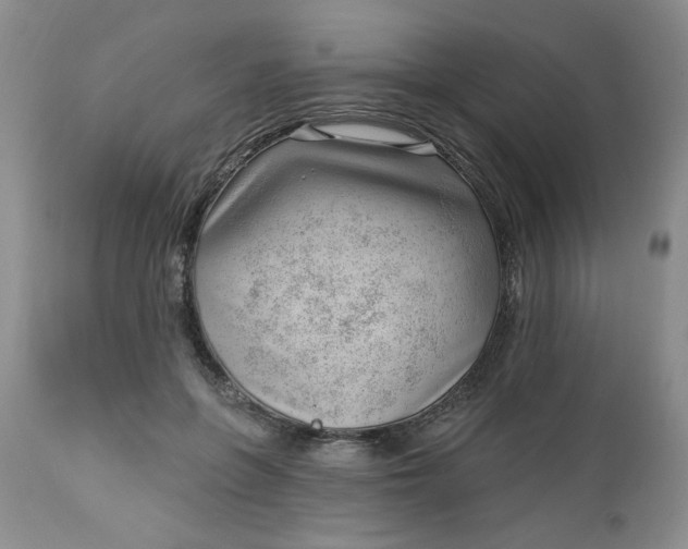 X0000112740551200909101518