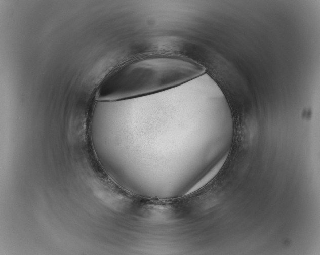 X0000112740552200909101518