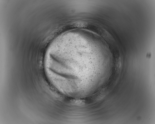 X0000112740553200909101518