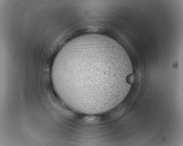 X0000112740557200909101518