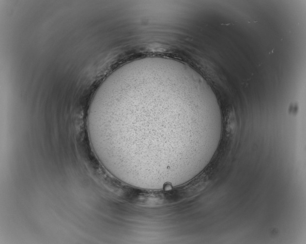 X0000112740559200909101518