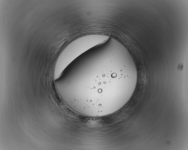 X0000112740560200909101518