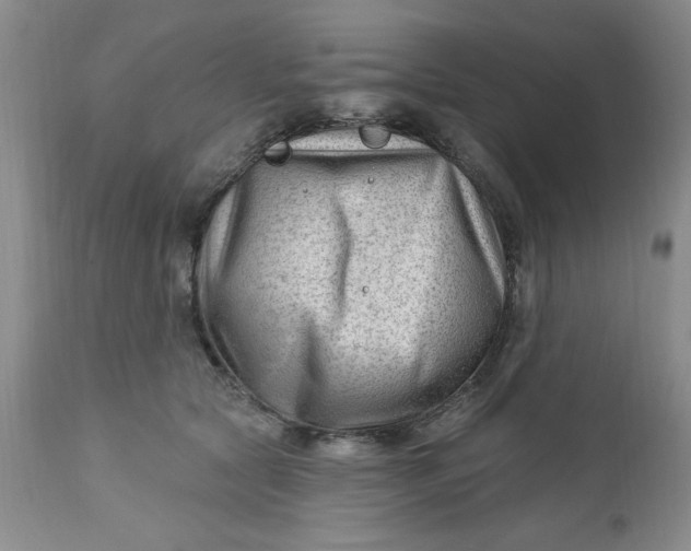 X0000112740561200909101518