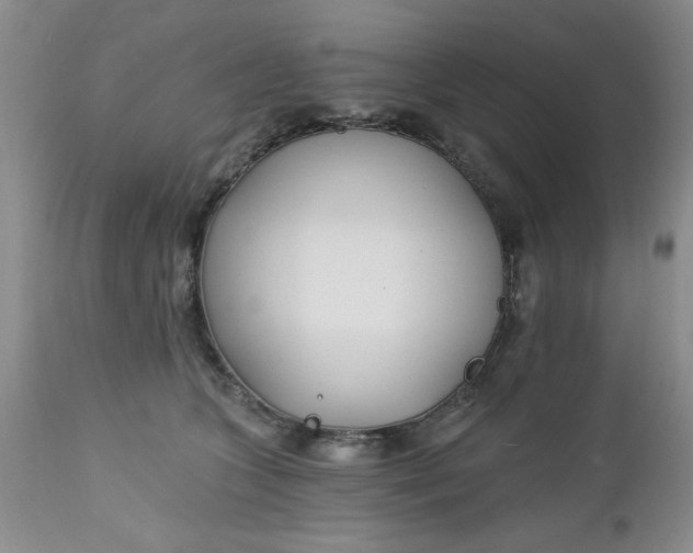 X0000112740563200909101518