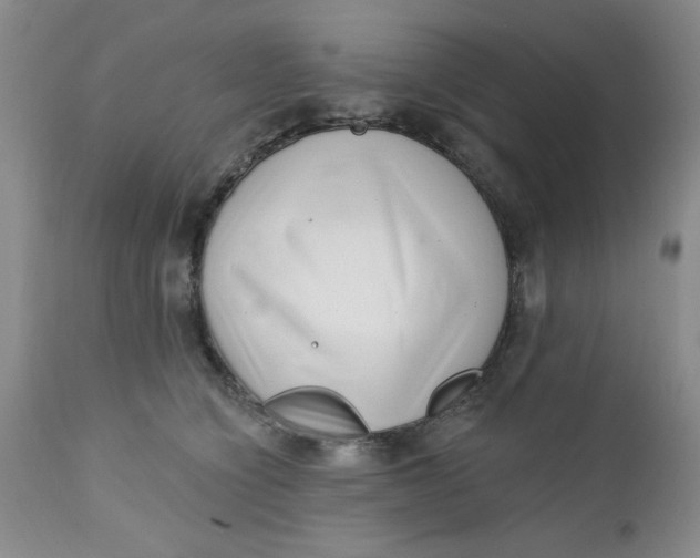 X0000112740564200909101518