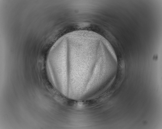 X0000112740565200909101518