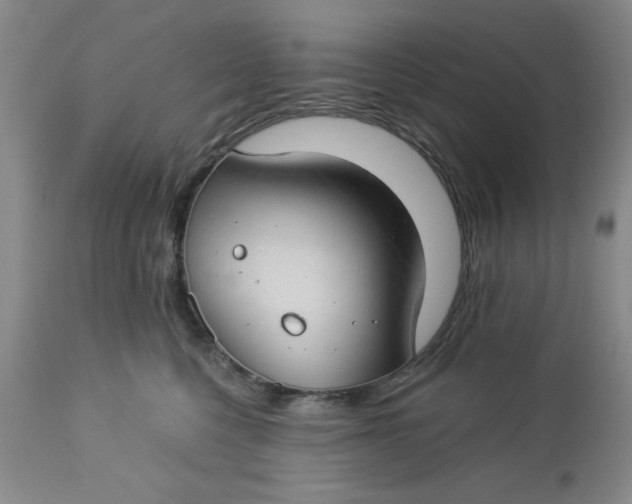 X0000112740568200909101518