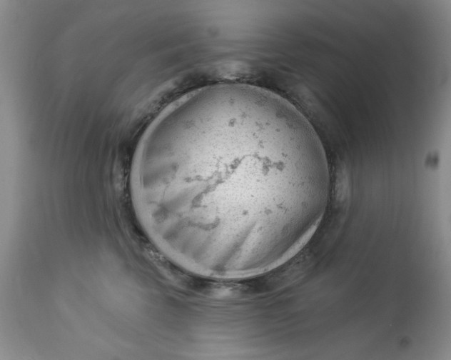 X0000112740569200909101518