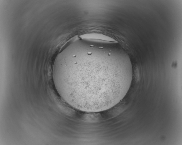 X0000112740571200909101518