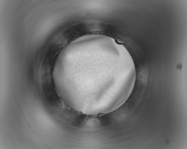 X0000112740572200909101518