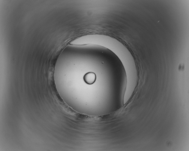 X0000112740576200909101518