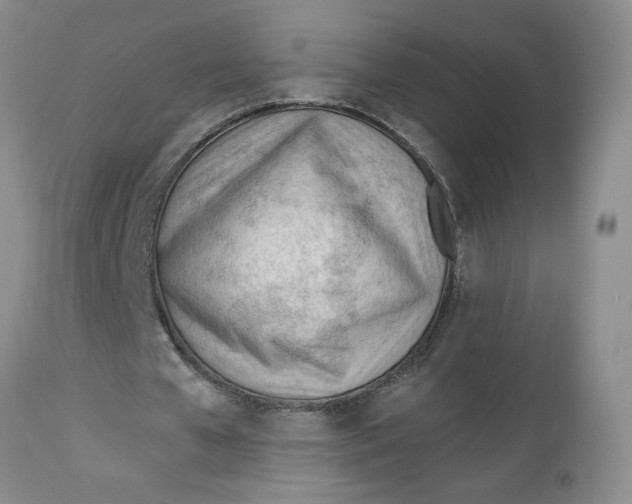 X0000112740577200909101518