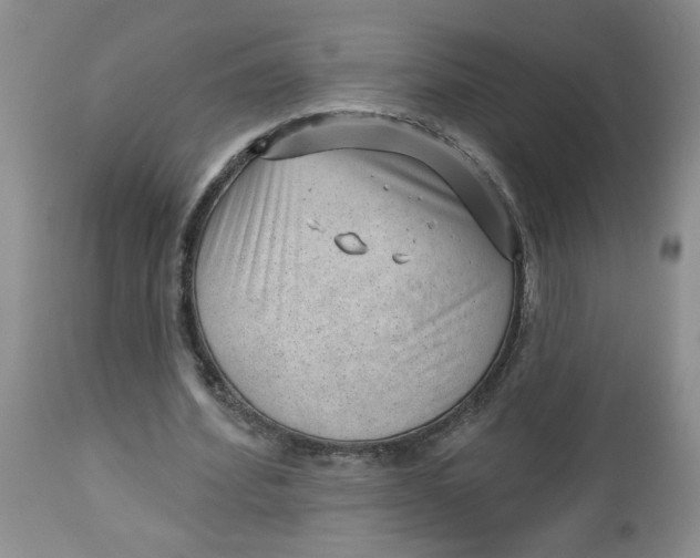 X0000112740580200909101518