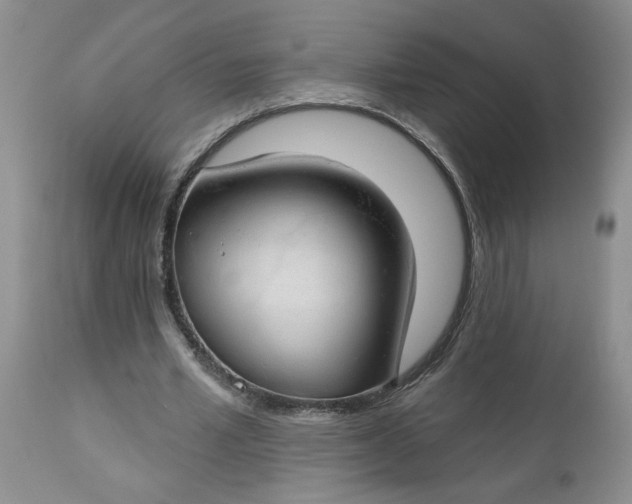 X0000112740581200909101517