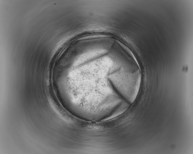 X0000112740582200909101517