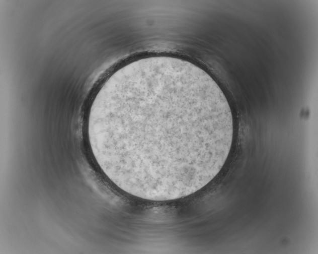 X0000112740584200909101517