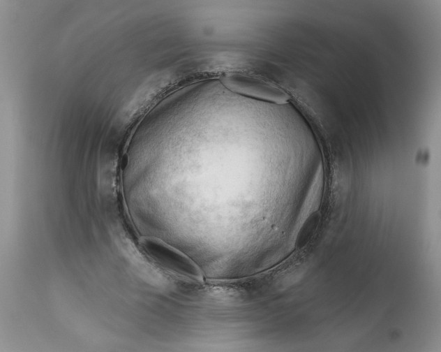 X0000112740585200909101517