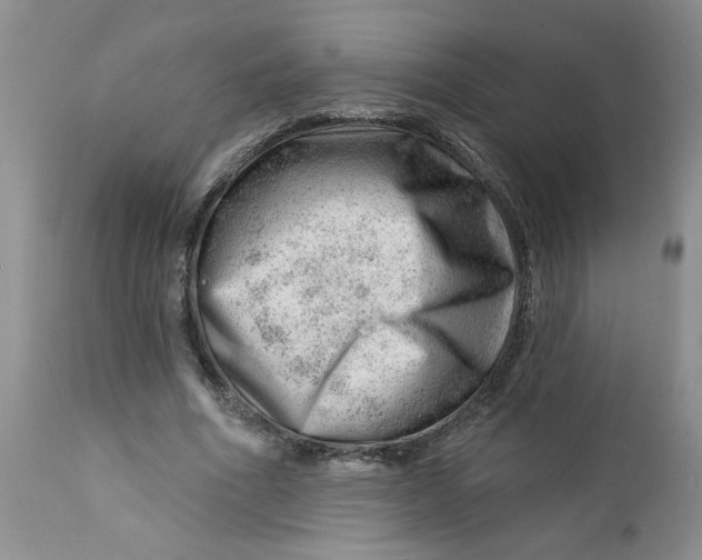 X0000112740586200909101517