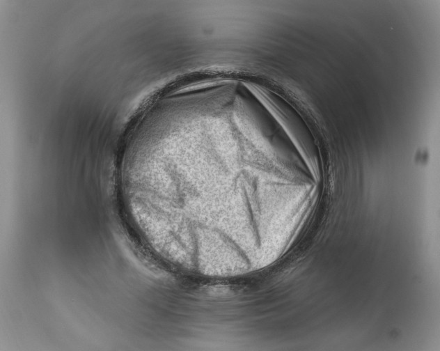 X0000112740588200909101517