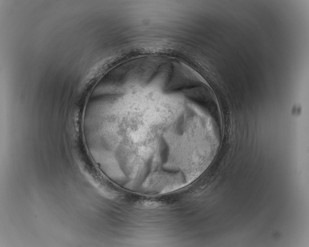 X0000112740590200909101517