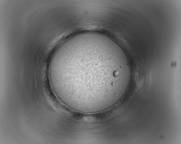 X0000112740591200909101517