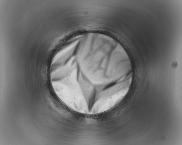 X0000112740592200909101517