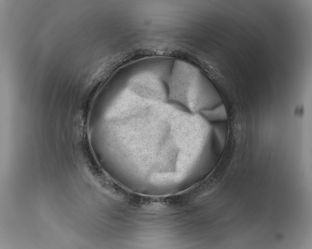 X0000112740594200909101517