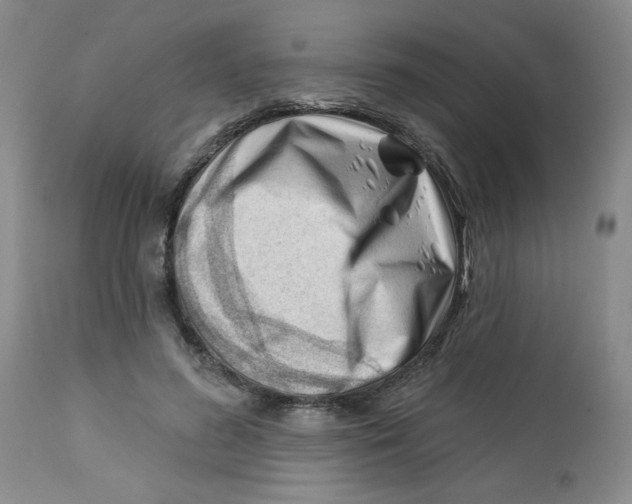 X0000112740596200909101517