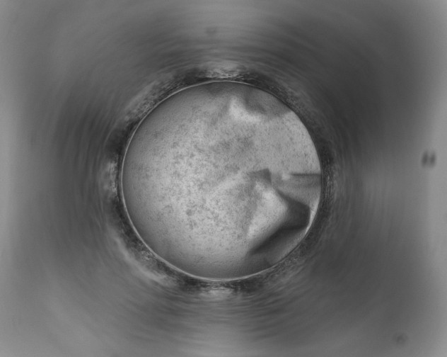 X0000112740598200909101517