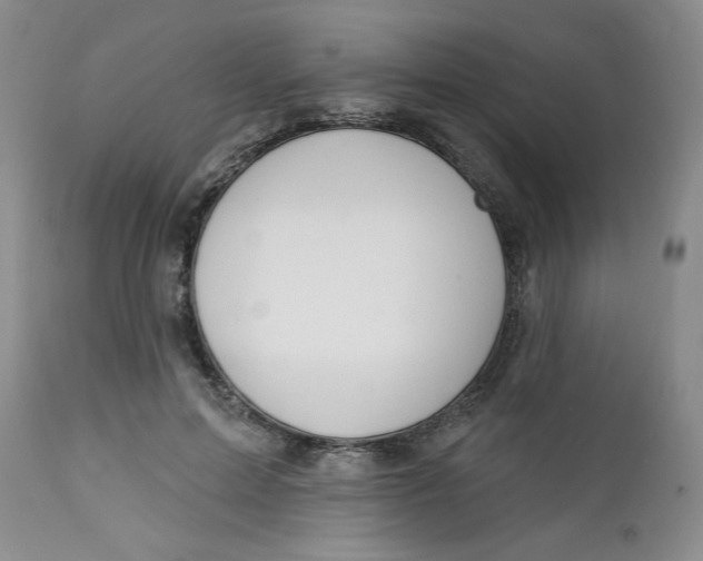 X0000112740599200909101517