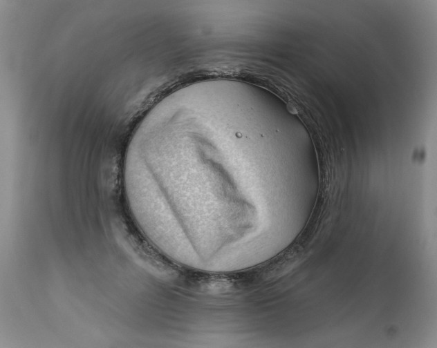 X0000112740600200909101517