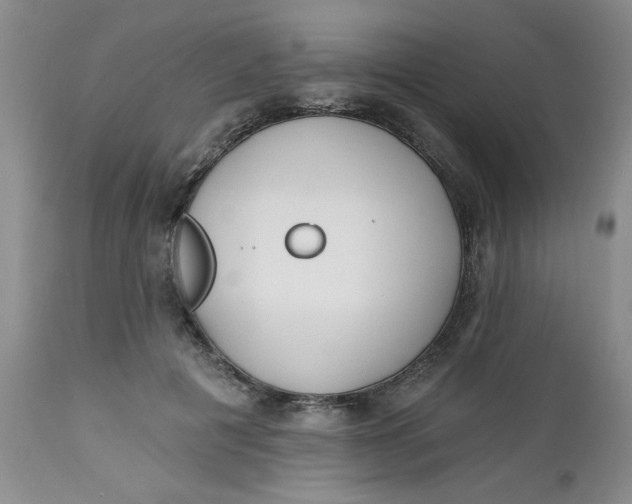 X0000112740601200909101517