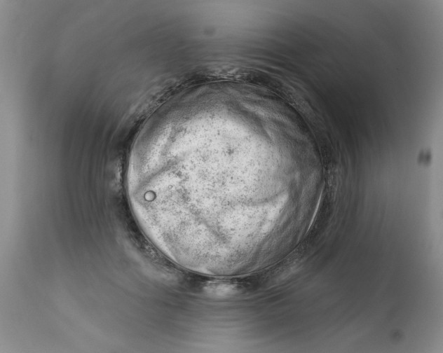 X0000112740602200909101517