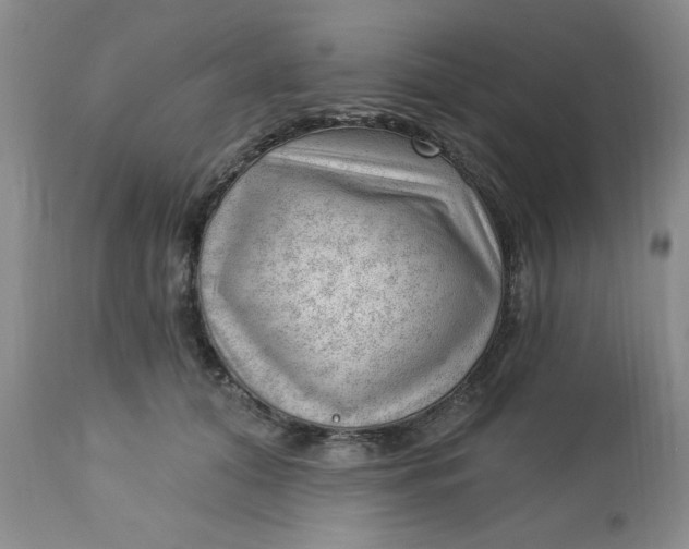 X0000112740608200909101517