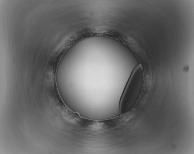 X0000112740609200909101517