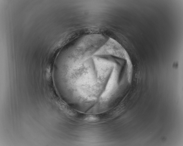 X0000112740610200909101517